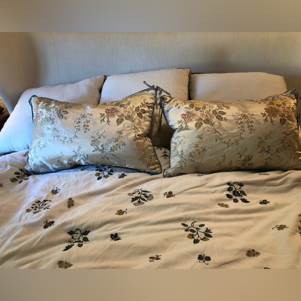 Romantic french Rococo pattern pillows